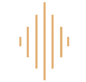 voice